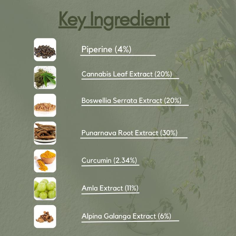 nuvedic cbd capsules List of key ingredients with text and pictures on a green background.

