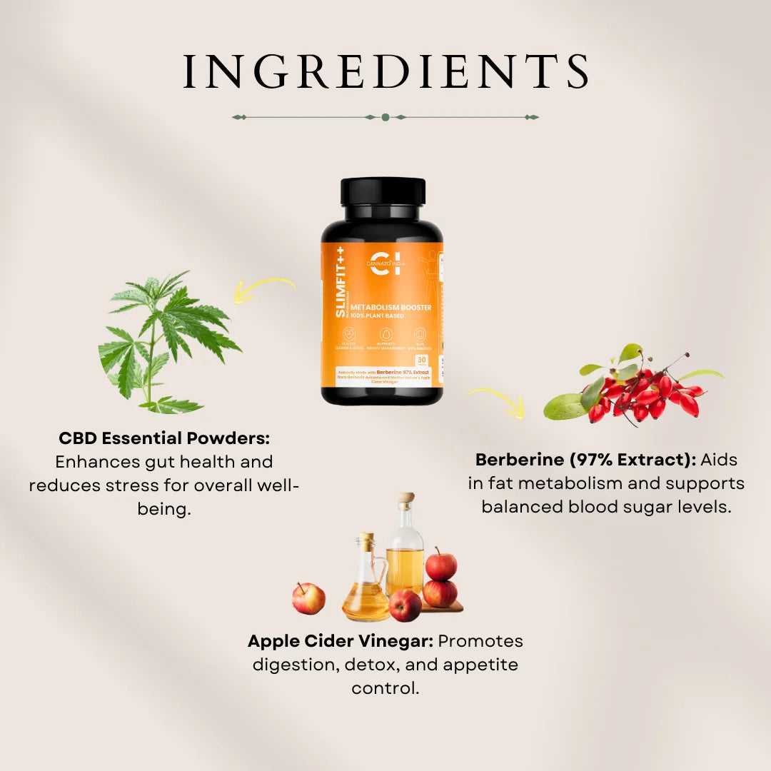 Dietary supplement bottle labeled "SLIMFIT++ Metabolism Booster" with illustrations of cannabis plant, berberine berries, and apple cider vinegar around it.