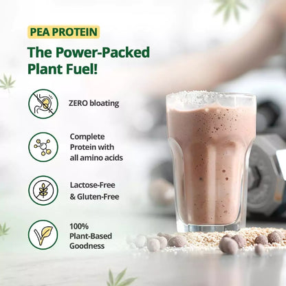 Glass of pea protein shake with promotional text about its benefits on a blurred background