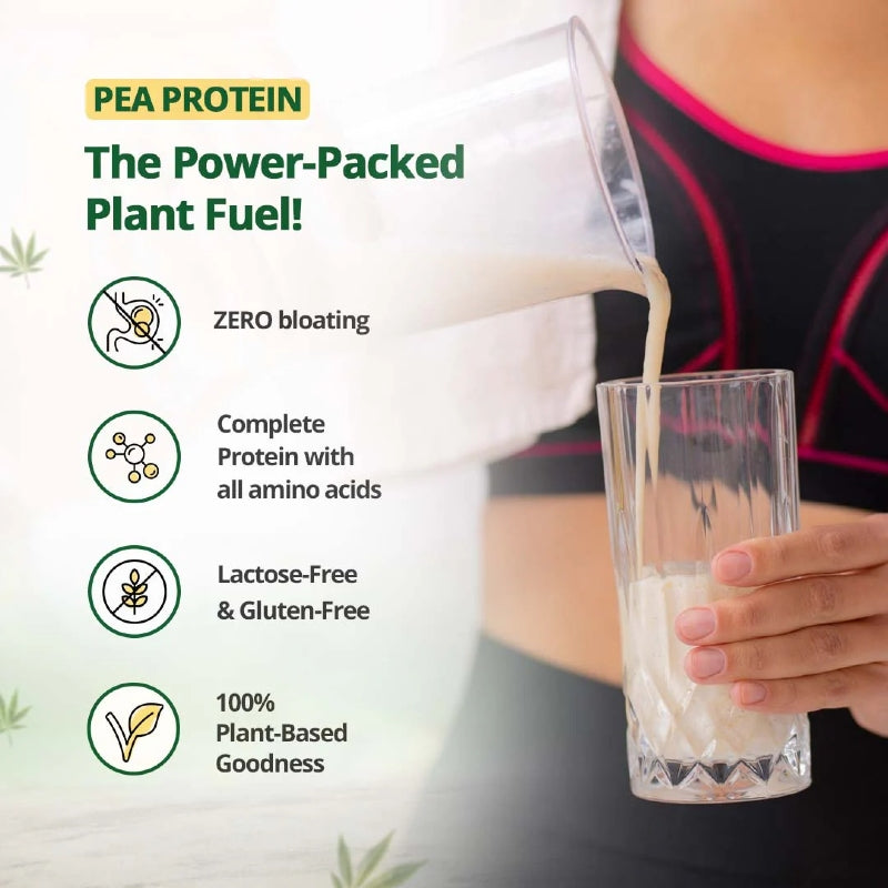 Hampa: Hemp Protein Powder - Vanilla Flavour