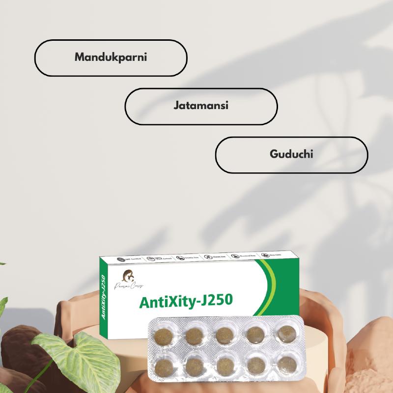 A box of AntiXity-J250 tablets with a blister pack of ten tablets in front. Labels reading "Mandukparni," "Jatamansi," and "Guduchi" are above the box.