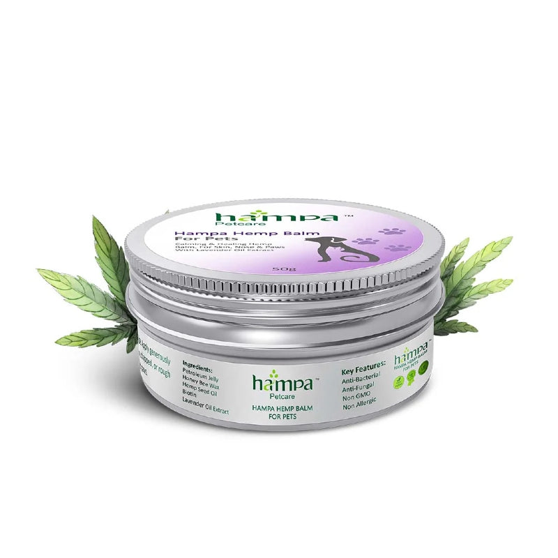 Hampa Pet Hemp Balm jar with green leaves on a white background
