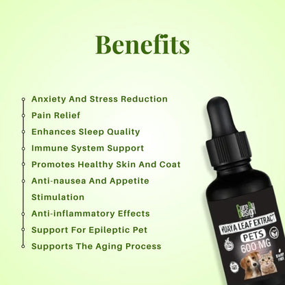 CBD product bottle with benefits listed on a green background