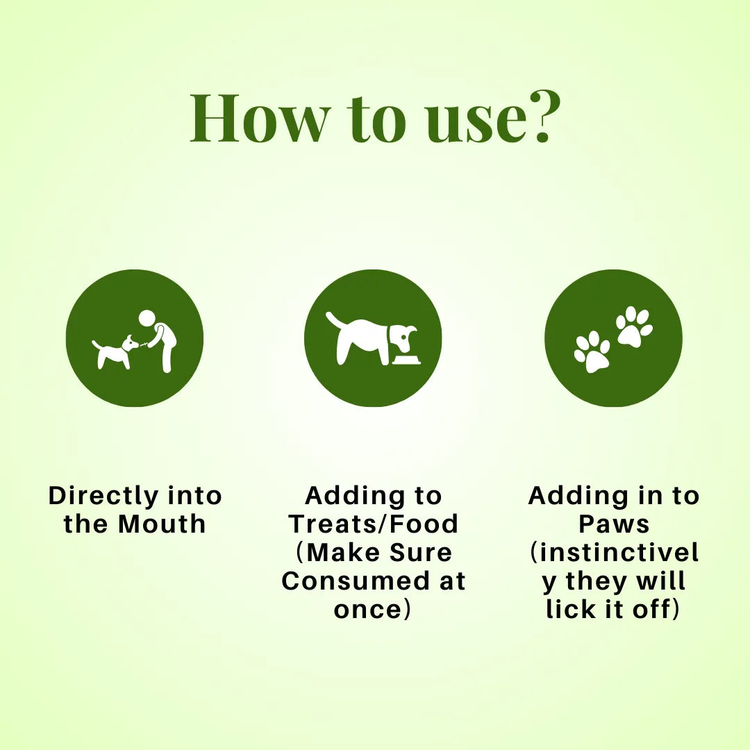 Instructions on how to use a product for pets on a green background