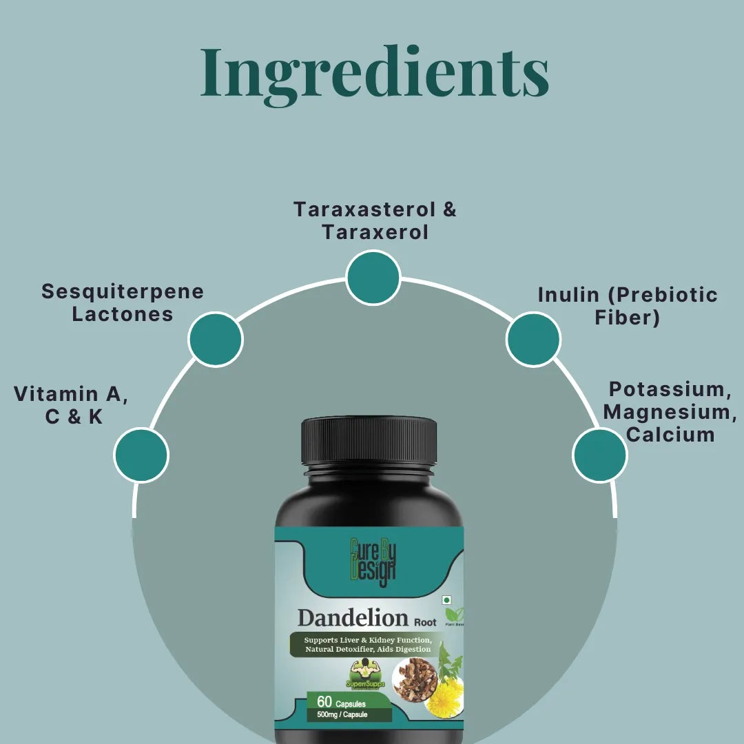 Dandelion root supplement bottle with labeled ingredients on a teal background