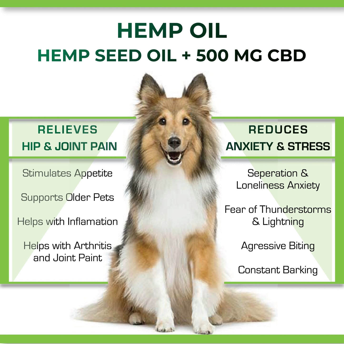 Dog with text about hemp oil benefits for pets on a white background