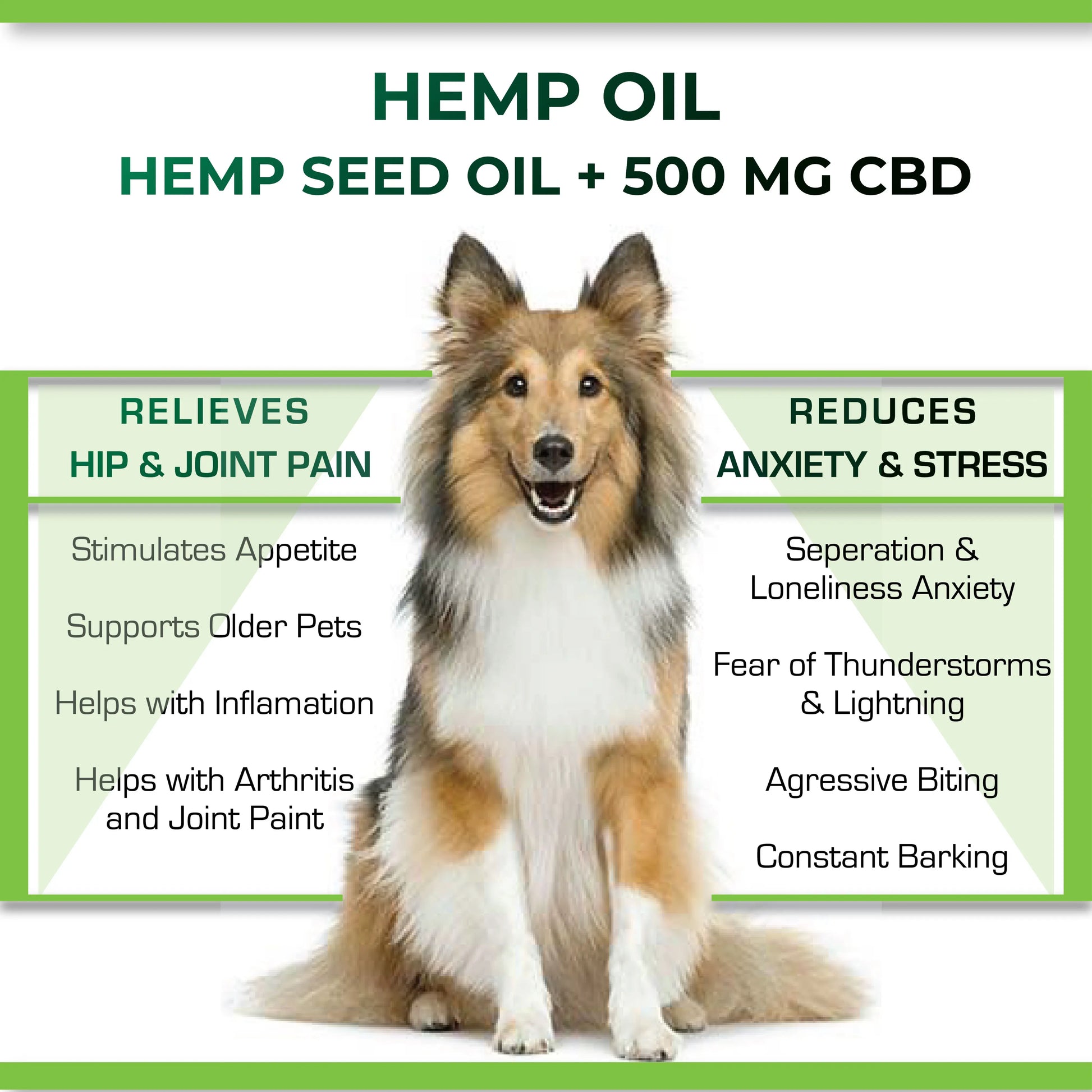 Dog with text about hemp oil benefits for pets on a white background