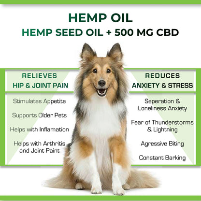 Dog with text about hemp oil benefits for pets on a white background