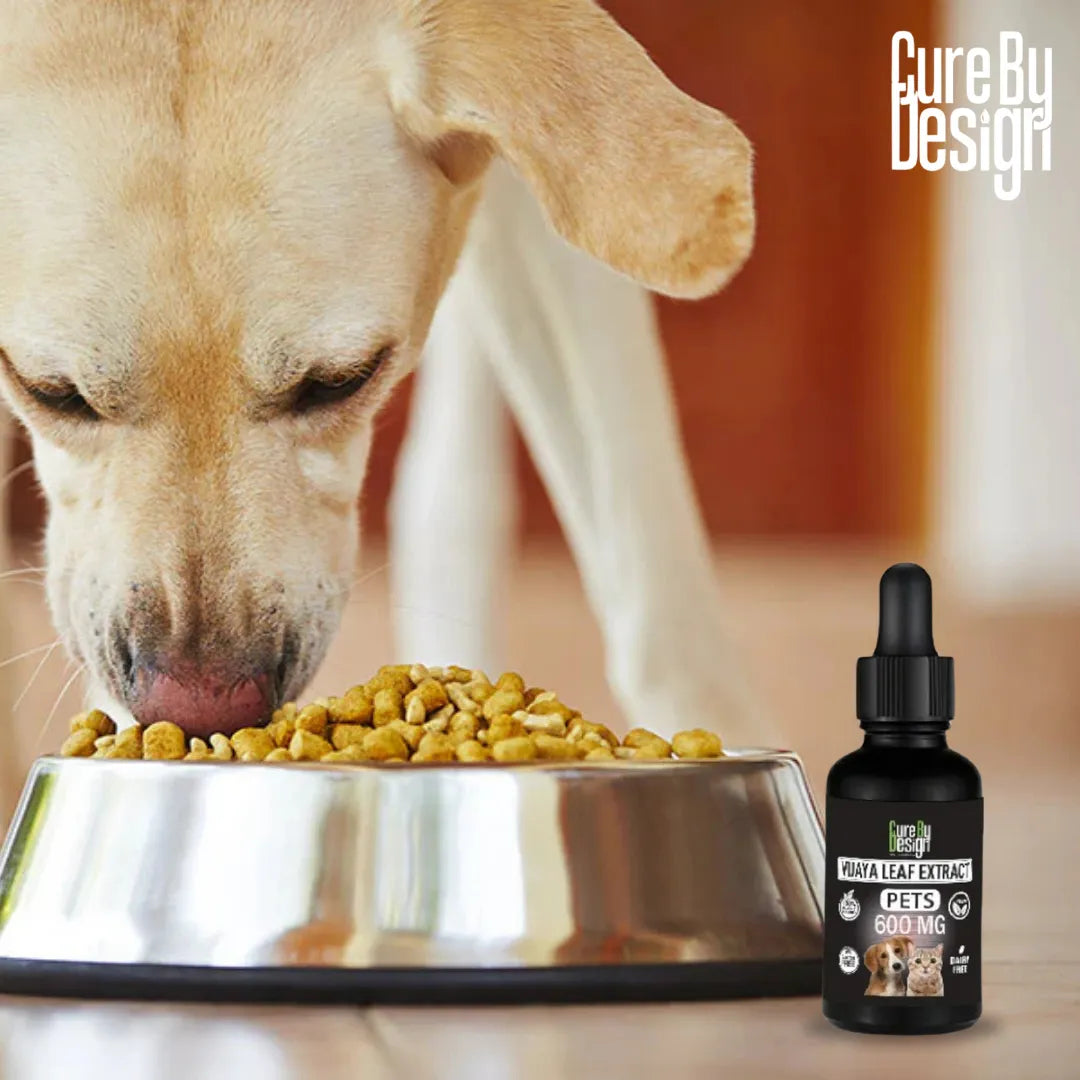 Dog eating from a bowl with a bottle of 'Cure By Design' product in the foreground.