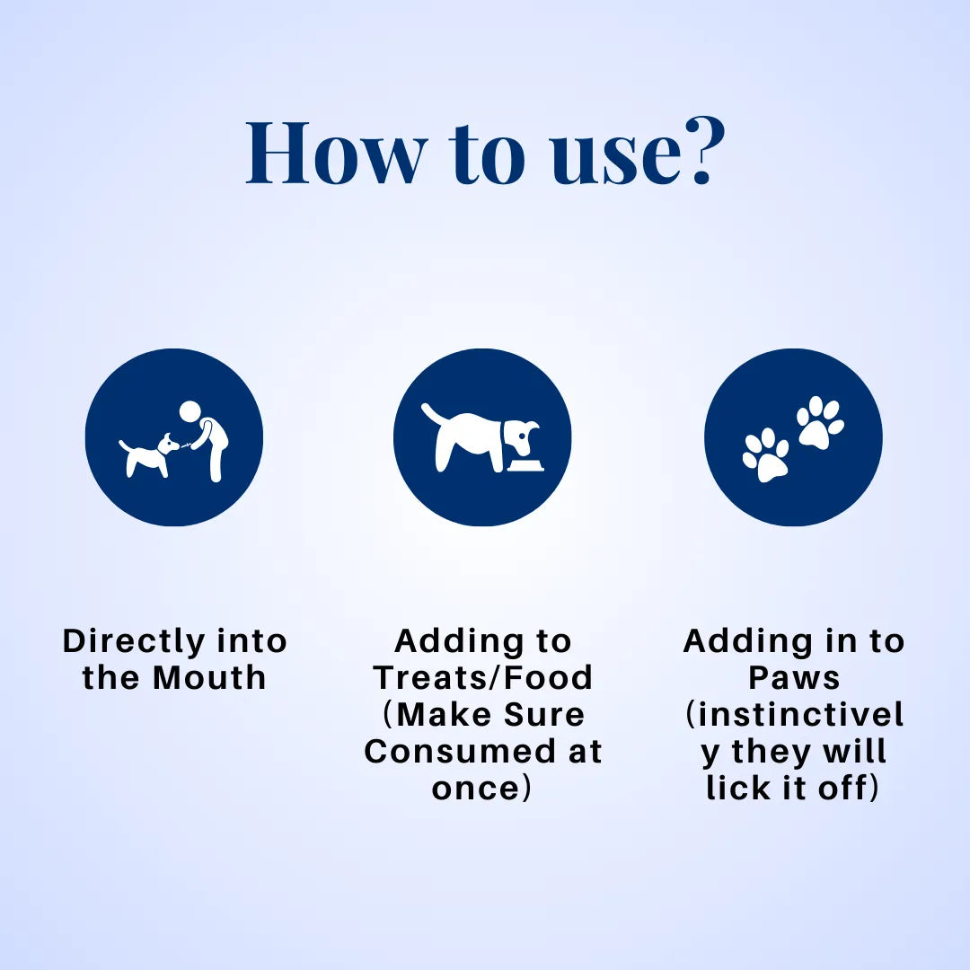 Instructions on how to use a cbd oil product for pets on a light blue background