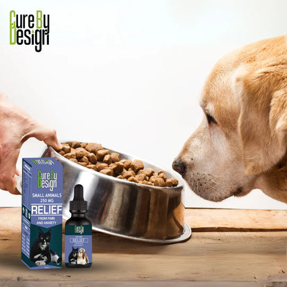 Dog bowl with kibble, 'Cure by Design' CBD Oil product, and a hand holding a bottle on a wooden surface.