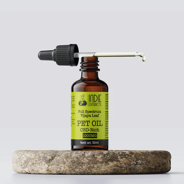 CBD-rich pet oil bottle with dropper on a stone surface against a light gray background