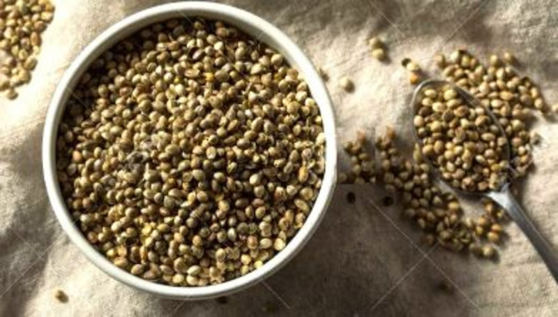 White bowl filled with green hemp seeds on a textured surface