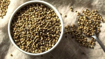 White bowl filled with green hemp seeds on a textured surface