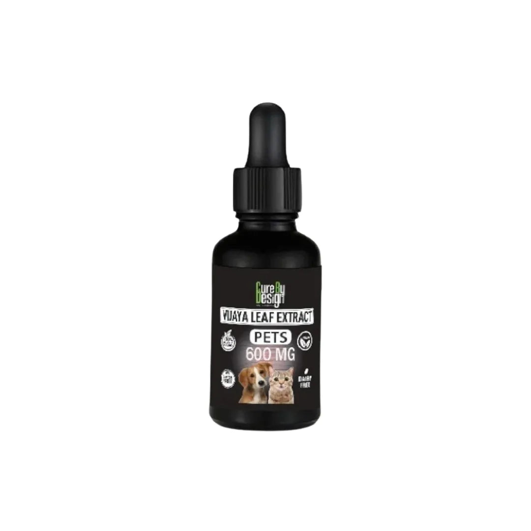 Vijaya-for-Pets-600mg-Full-Spectrum-CBD