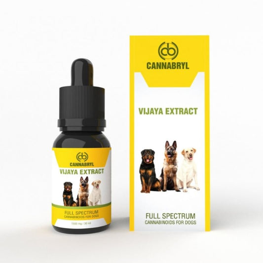 Cannabryl Full-spectrum Pet CBD Tincture - 4:1 CBD:THC - 30mlPet MedicineIndogenixCBD Shop of India™