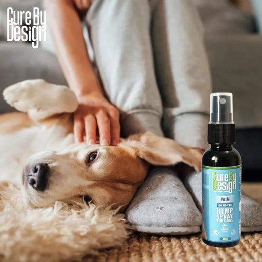Dog being petted by a person with a bottle of 'Cure By Design' product on a carpeted floor.