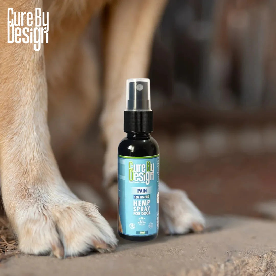 Bottle of 'Cure By Design' hemp spray for dogs next to a dog's paw.
