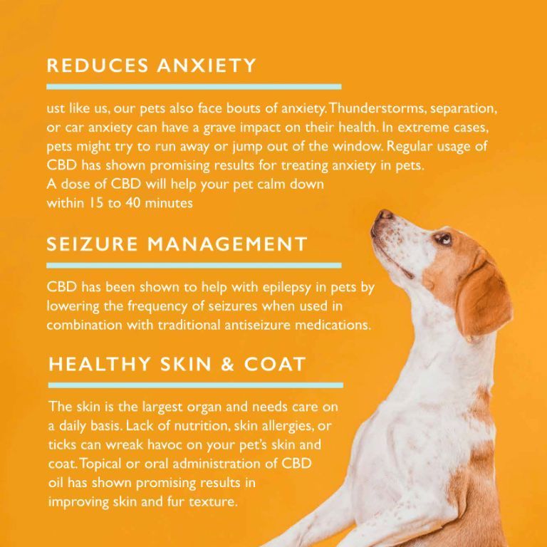 benefits-of-qurist-pet-cbd-oil-medium-pets-listed-for-sale-at-cbd-shop-of-india